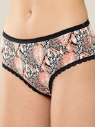 Hipster Panty